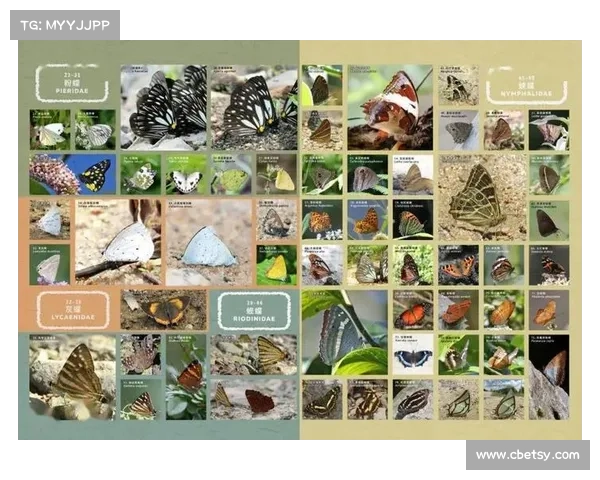 蝴蝶平原生态保护十大关键措施探索与实践 蝴蝶平原生态保护十大关键措施探索与实践