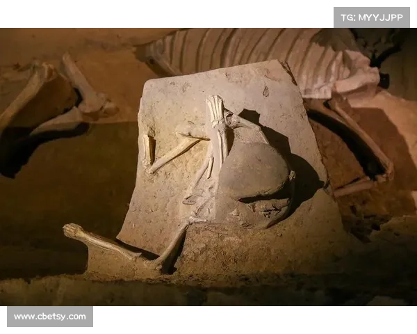 鹤观岛神秘遗迹探索之旅揭开千年谜团与失落文明的面纱 鹤观岛神秘遗迹探索之旅揭开千年谜团与失落文明的面纱